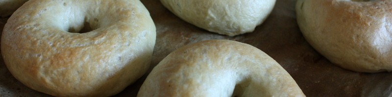 Bagels selbstgemacht