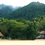 beach&tropicalforest